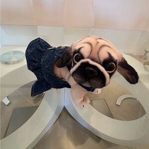 Adorable Denim Outfit For Your 🐕